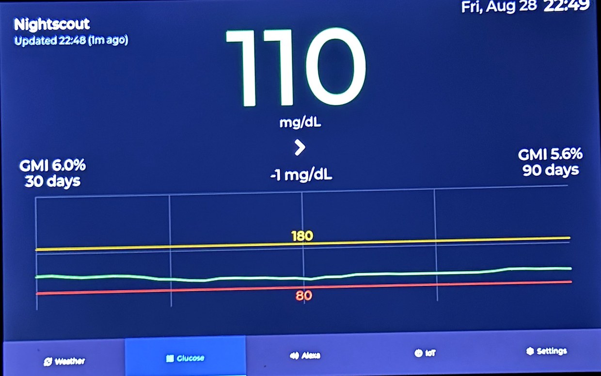 The 10.1-inch panel running on a shelf: 110 mg/dL with a flat trend arrow, GMI 6.0% over 30 days and 5.6% over 90, and a trend chart between the 80 and 180 lines.